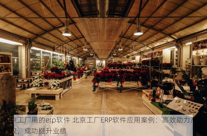 北京工厂用的erp软件 北京工厂ERP软件应用案例：高效助力产业升级，成功提升业绩