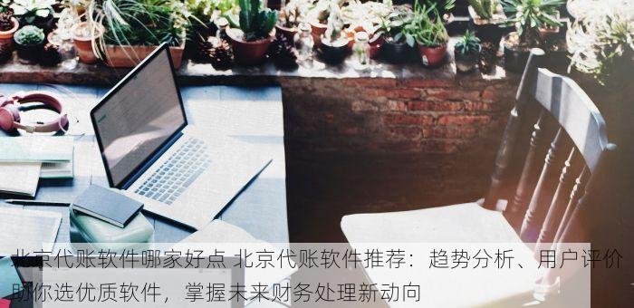 北京代账软件哪家好点 北京代账软件推荐：趋势分析、用户评价助你选优质软件，掌握未来财务处理新动向