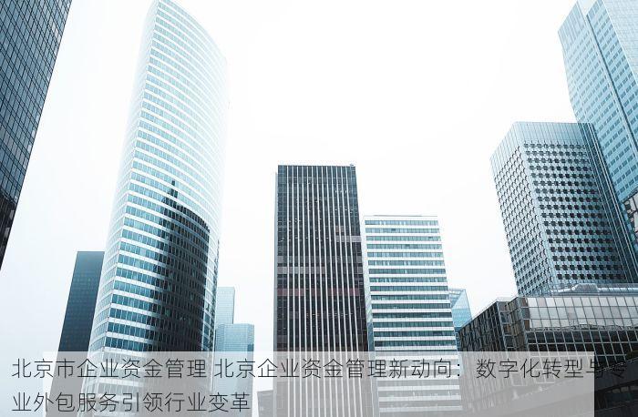 北京市企业资金管理 北京企业资金管理新动向：数字化转型与专业外包服务引领行业变革