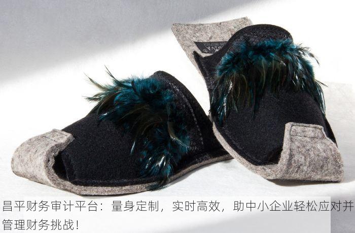 昌平财务审计平台：量身定制，实时高效，助中小企业轻松应对并管理财务挑战！