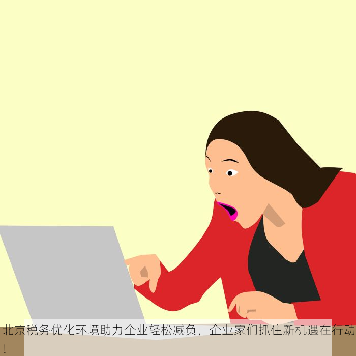 北京税务优化环境助力企业轻松减负，企业家们抓住新机遇在行动！