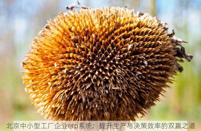 北京代账哪家好 寻找北京税务合规的代账专家，哪家做得细致