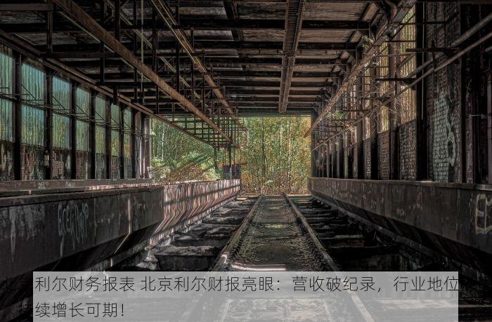 北京利尔财务报表 北京利尔财报亮眼：营收破纪录，行业地位稳固，持续增长可期！