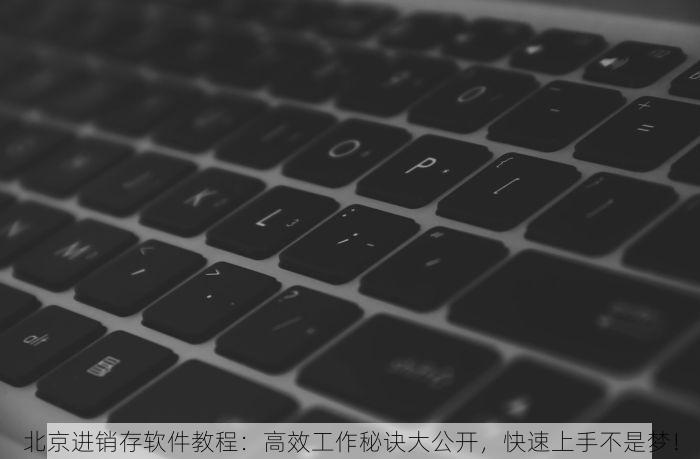 北京进销存软件教程：高效工作秘诀大公开，快速上手不是梦！