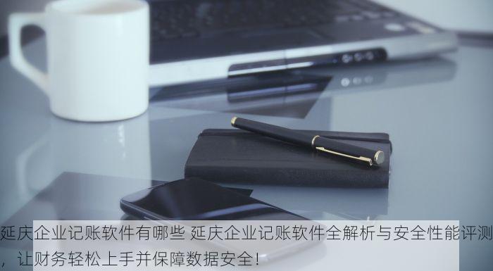 延庆企业记账软件有哪些 延庆企业记账软件全解析与安全性能评测，让财务轻松上手并保障数据安全！