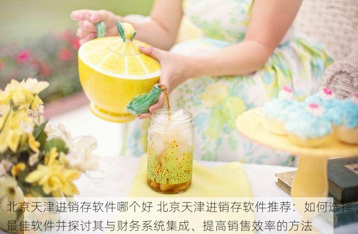 北京天津进销存软件哪个好 北京天津进销存软件推荐：如何选择最佳软件并探讨其与财务系统集成、提高销售效率的方法