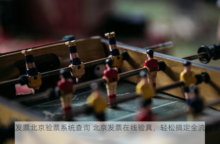 西城记账报税项目表最新：优化财务报表的财务小白必读指南