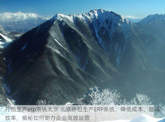 外包生产erp系统北京 北京外包生产ERP系统：降低成本、提高效率，揭秘如何助力企业高效运营