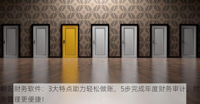 朝阳财务软件：3大特点助力轻松做账，5步完成年度财务审计，财务管理更便捷！