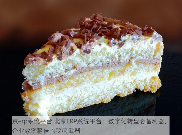 北京会计代账软件哪个好一点的啊 北京会计代账软件推荐与口碑榜：哪款软件更适合你的需求并受到用户欢迎？