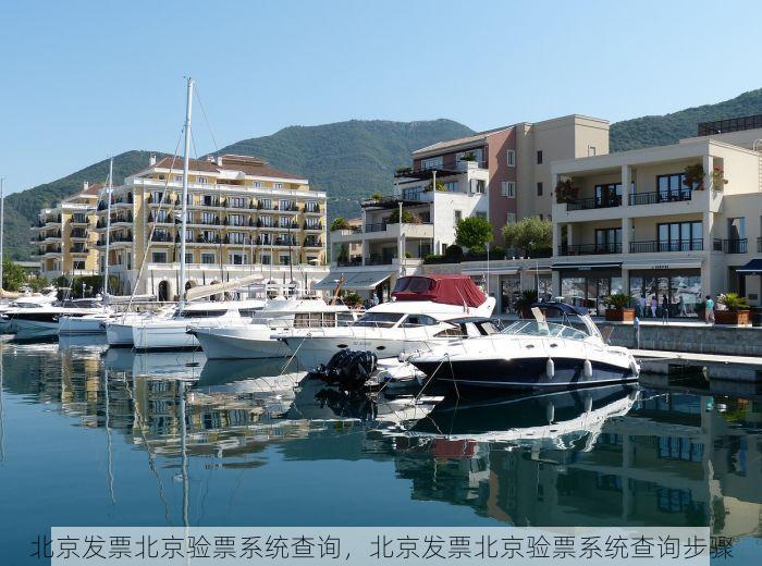 北京代账财务软件有哪些平台 北京代账财务软件平台概览：客户评价、选择建议与凭证录入指南