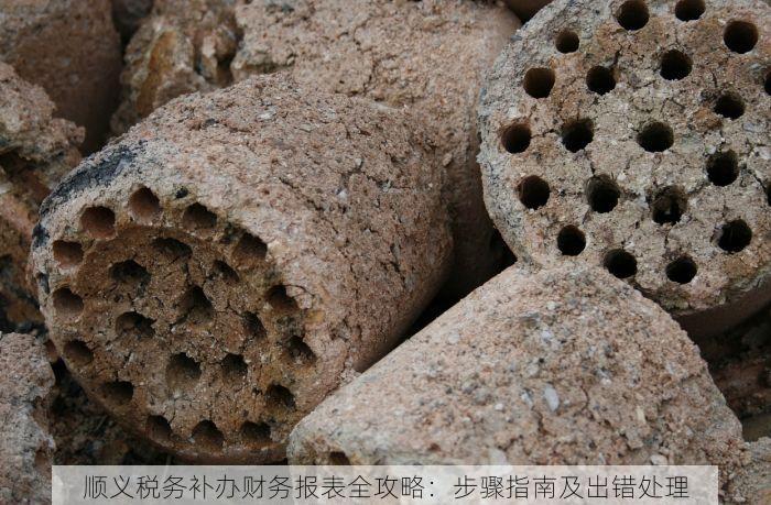 北京工厂的erp 北京工厂ERP系统案例与软件升级更新：实现成功应用与维护