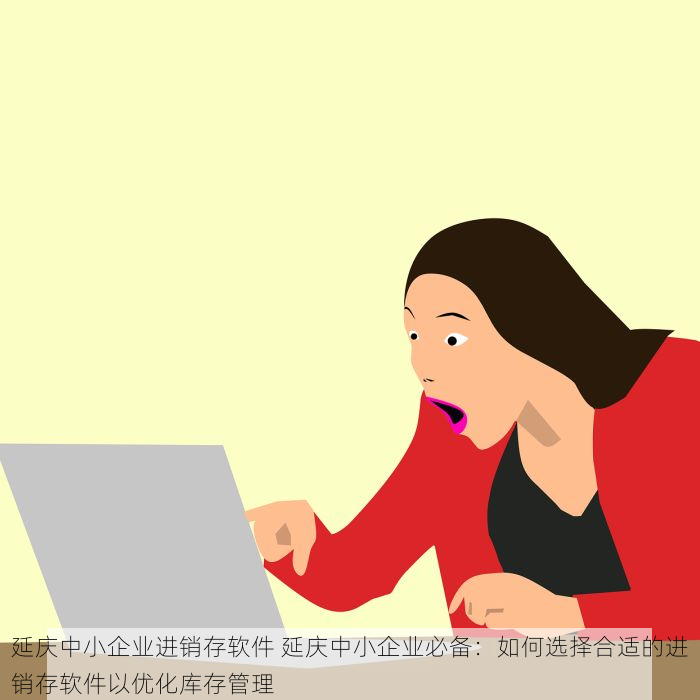 北京erp商务软件 北京ERP商务软件：使用教程与财务管理的完美结合