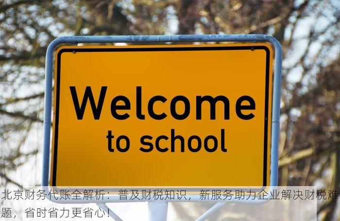 东城幼儿园财务软件：合规透明的税务申报与数据展示