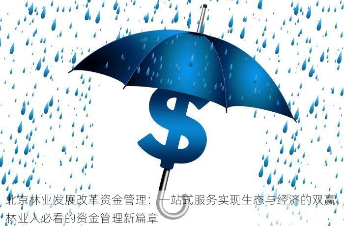 北京什么平台打车有发票 北京打车平台发票服务全攻略：出行必备，哪些平台提供正规发票？