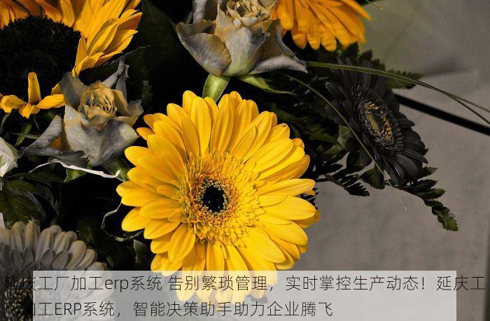 延庆工厂加工erp系统 告别繁琐管理，实时掌控生产动态！延庆工厂加工ERP系统，智能决策助手助力企业腾飞