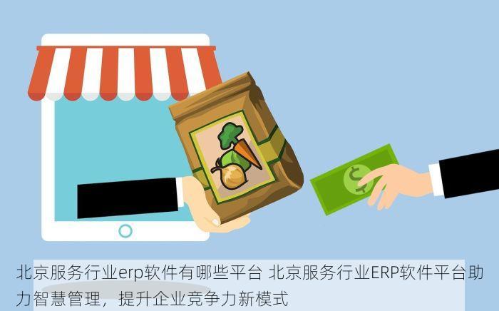 顺义物流erp品牌有哪些 顺义物流企业优选：高性价比与高效ERP品牌大全