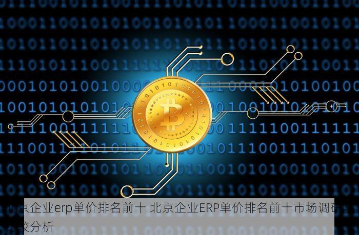 北京企业erp单价排名前十 北京企业ERP单价排名前十市场调研与比较分析