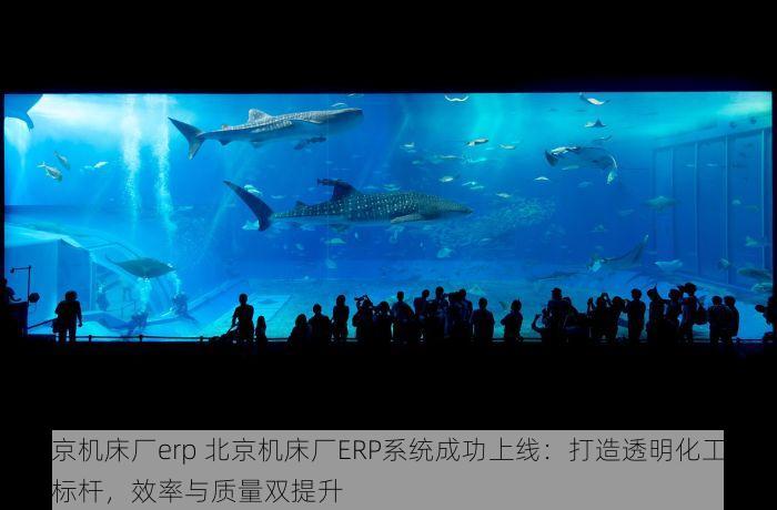 北京机床厂erp 北京机床厂ERP系统成功上线：打造透明化工厂新标杆，效率与质量双提升