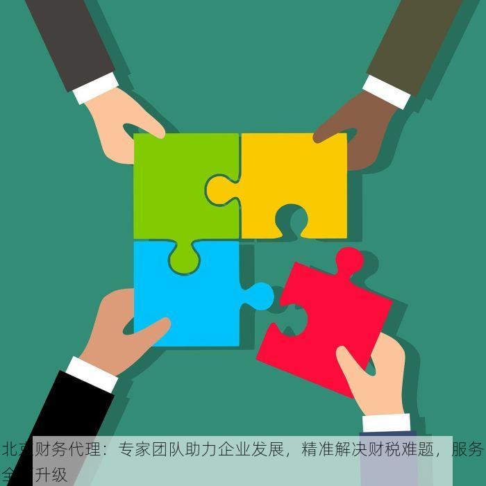 北京财务代理：专家团队助力企业发展，精准解决财税难题，服务全面升级