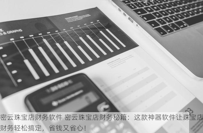 密云珠宝店财务软件 密云珠宝店财务秘籍：这款神器软件让珠宝店财务轻松搞定，省钱又省心！