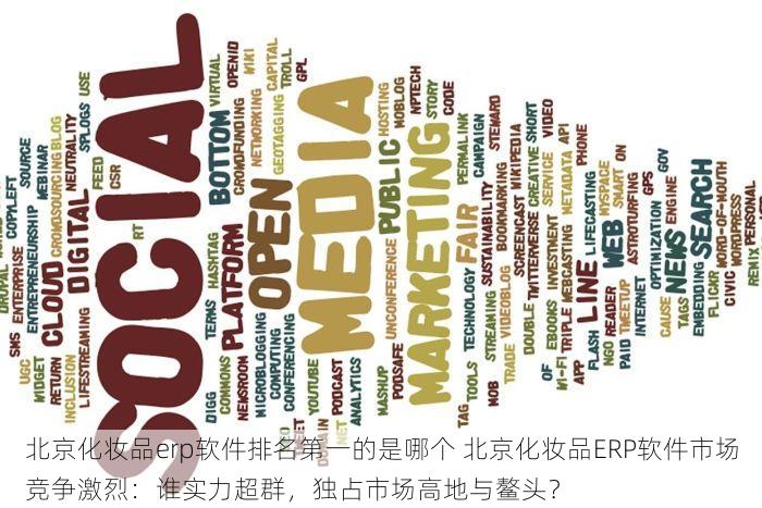 北京化妆品erp软件排名第一的是哪个 北京化妆品ERP软件市场竞争激烈：谁实力超群，独占市场高地与鳌头？