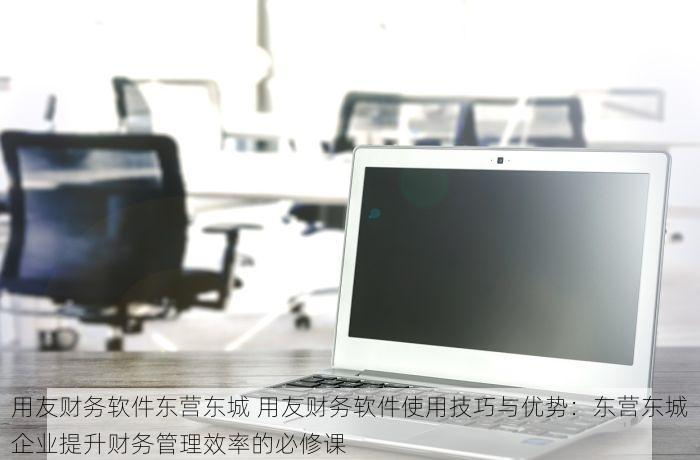 用友财务软件东营东城 用友财务软件使用技巧与优势：东营东城企业提升财务管理效率的必修课