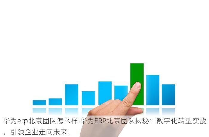 提升效率且数据精准的朝阳生鲜进销存管理软件优选与推荐