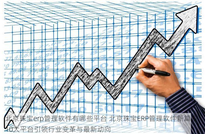 北京珠宝erp管理软件有哪些平台 北京珠宝ERP管理软件新篇章：10大平台引领行业变革与最新动向
