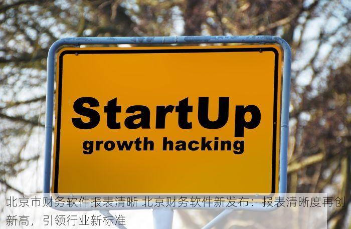 北京市财务软件报表清晰 北京财务软件新发布：报表清晰度再创新高，引领行业新标准