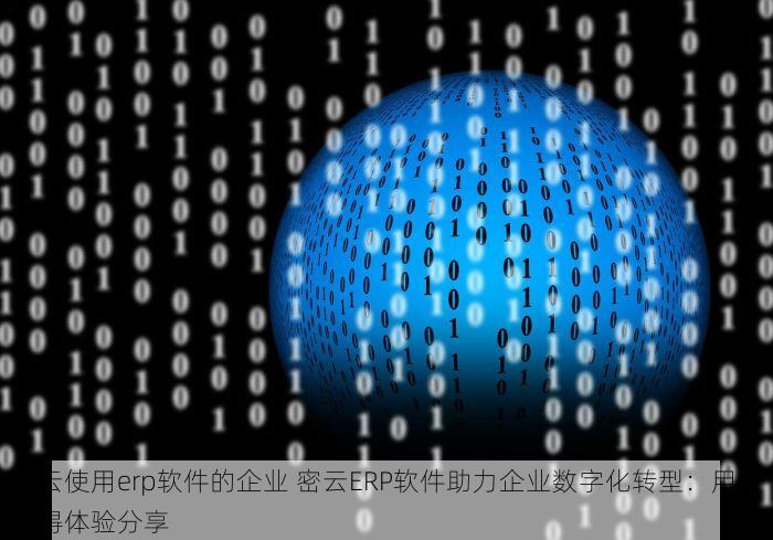 密云使用erp软件的企业 密云ERP软件助力企业数字化转型：用户心得体验分享