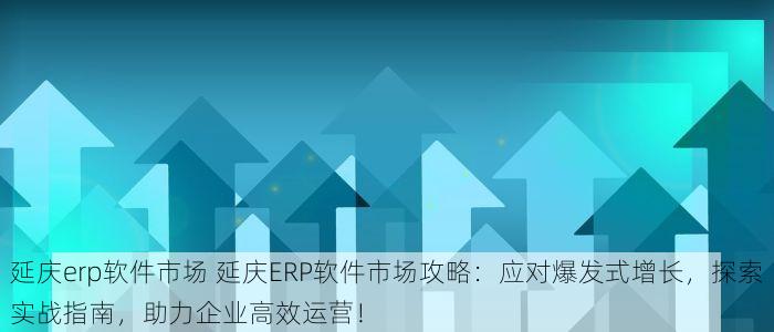 延庆erp软件市场 延庆ERP软件市场攻略：应对爆发式增长，探索实战指南，助力企业高效运营！