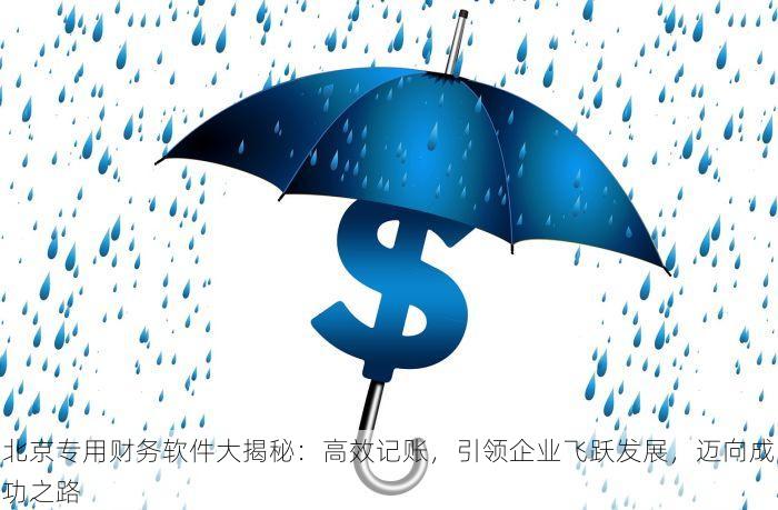 北京专用财务软件大揭秘：高效记账，引领企业飞跃发展，迈向成功之路