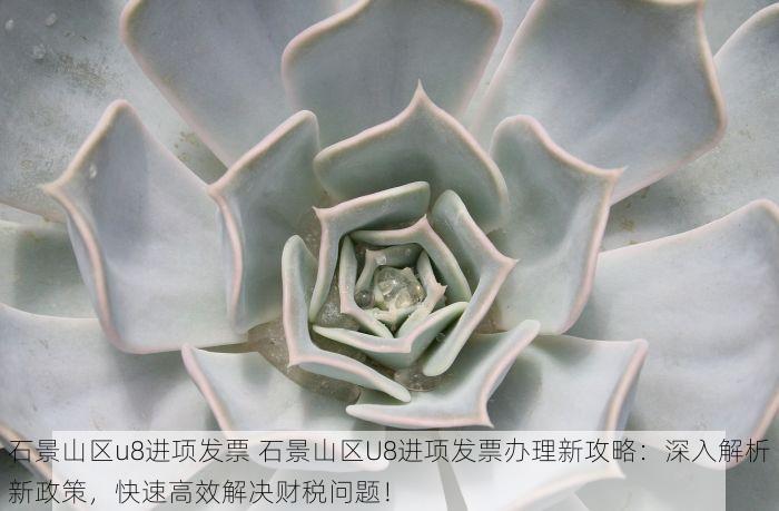 石景山区u8进项发票 石景山区U8进项发票办理新攻略：深入解析新政策，快速高效解决财税问题！