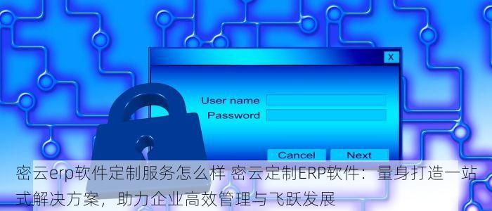 密云erp软件定制服务怎么样 密云定制ERP软件：量身打造一站式解决方案，助力企业高效管理与飞跃发展