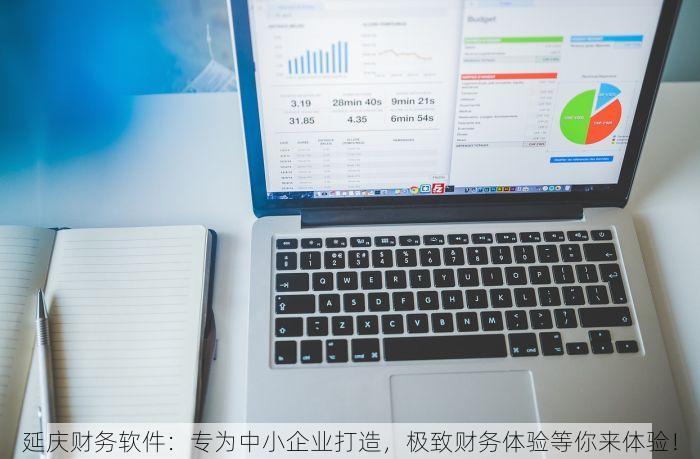 延庆财务软件：专为中小企业打造，极致财务体验等你来体验！