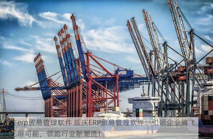 延庆erp贸易管理软件 延庆ERP贸易管理软件：引领企业腾飞，释放无限可能，领跑行业新潮流！