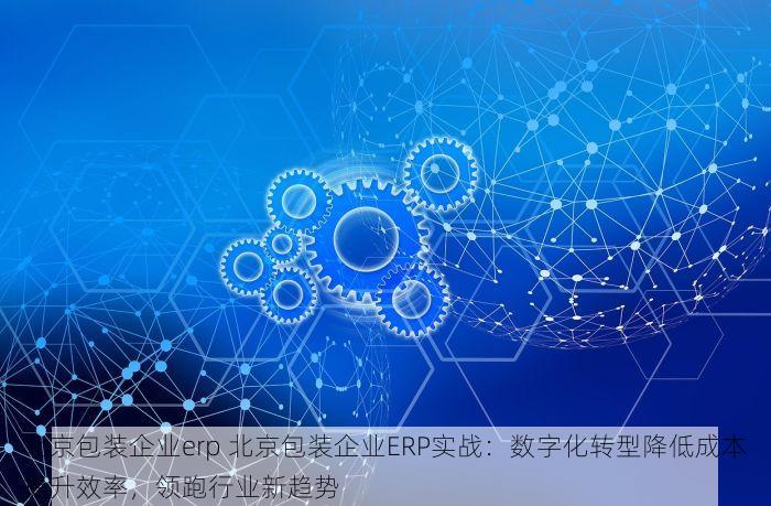 北京长期可靠的进销存软件 北京高效进销存软件：轻松管钱货，新手转专家，省心赚钱工具