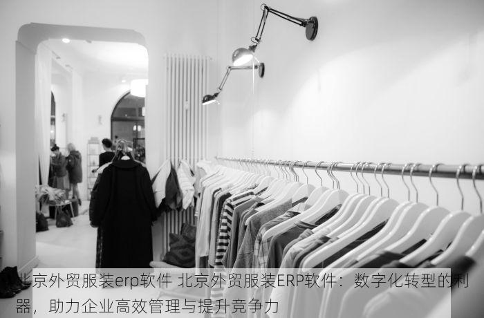 北京外贸服装erp软件 北京外贸服装ERP软件：数字化转型的利器，助力企业高效管理与提升竞争力