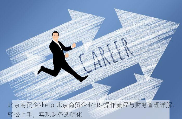北京商贸企业erp 北京商贸企业ERP操作流程与财务管理详解：轻松上手，实现财务透明化