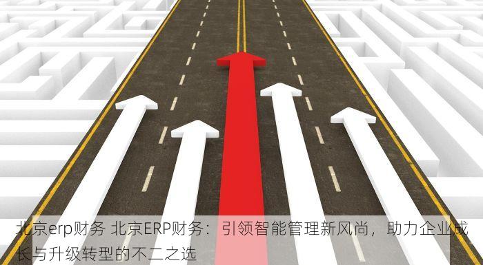 北京erp财务 北京ERP财务：引领智能管理新风尚，助力企业成长与升级转型的不二之选