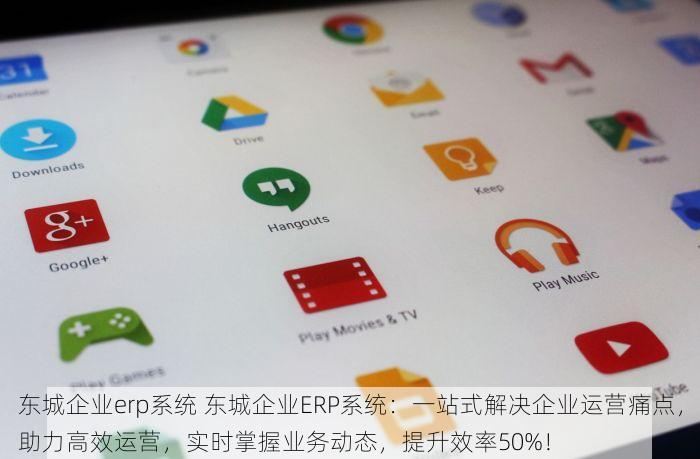 东城企业erp系统 东城企业ERP系统：一站式解决企业运营痛点，助力高效运营，实时掌握业务动态，提升效率50%！