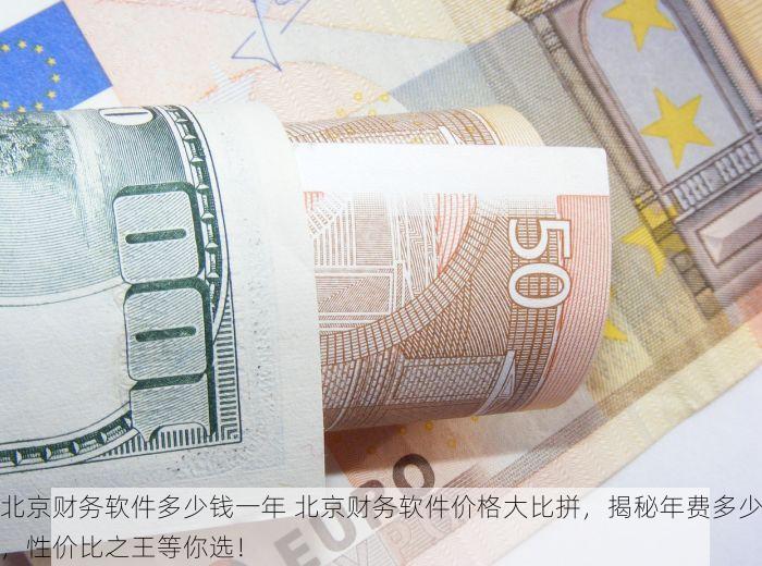 北京财务软件多少钱一年 北京财务软件价格大比拼，揭秘年费多少，性价比之王等你选！