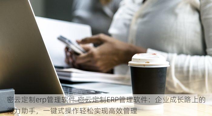 密云定制erp管理软件 密云定制ERP管理软件：企业成长路上的得力助手，一键式操作轻松实现高效管理