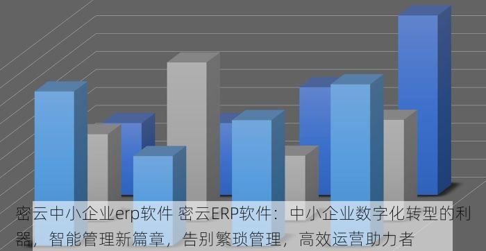 密云中小企业erp软件 密云ERP软件：中小企业数字化转型的利器，智能管理新篇章，告别繁琐管理，高效运营助力者