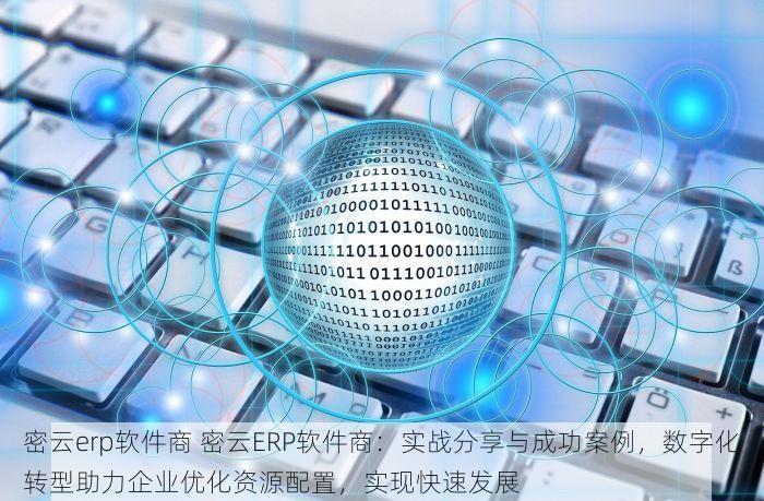 密云erp软件商 密云ERP软件商：实战分享与成功案例，数字化转型助力企业优化资源配置，实现快速发展