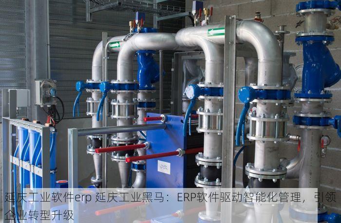 延庆工业软件erp 延庆工业黑马：ERP软件驱动智能化管理，引领企业转型升级
