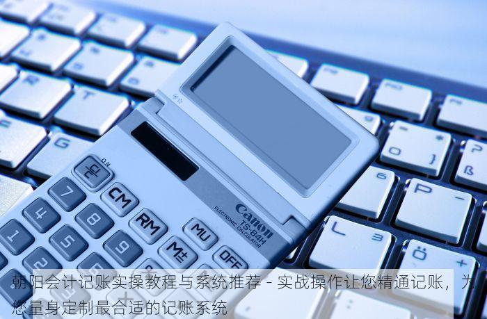 朝阳会计记账实操教程与系统推荐 - 实战操作让您精通记账，为您量身定制最合适的记账系统