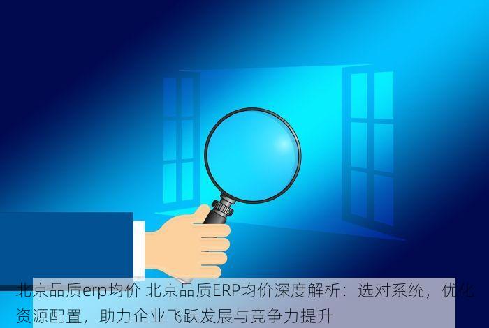 北京品质erp均价 北京品质ERP均价深度解析：选对系统，优化资源配置，助力企业飞跃发展与竞争力提升