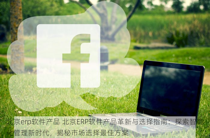 北京erp软件产品 北京ERP软件产品革新与选择指南：探索智能化管理新时代，揭秘市场选择最佳方案